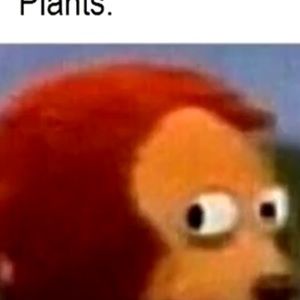 Meet your Posher, Oliver